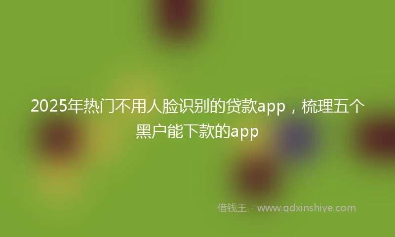 2025年热门不用人脸识别的贷款app，梳理五个黑户能下款的app