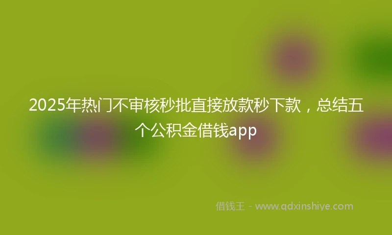 2025年热门不审核秒批直接放款秒下款，总结五个公积金借钱app