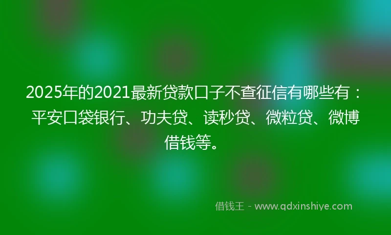 2025年的2021最新贷款口子不查征信有哪些有：平安口袋银行、功夫贷、读秒贷、微粒贷、微博借钱等。