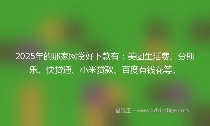 2025年的那家网贷好下款有：美团生活费、分期乐、快贷通、小米贷款、百度有钱花等。