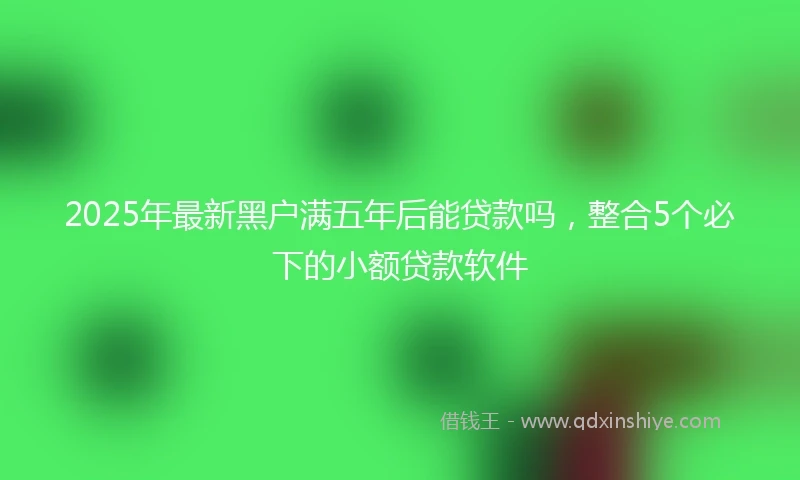 2025年最新黑户满五年后能贷款吗，整合5个必下的小额贷款软件