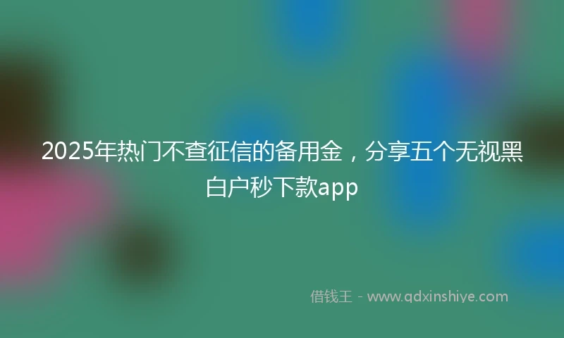 2025年热门不查征信的备用金，分享五个无视黑白户秒下款app