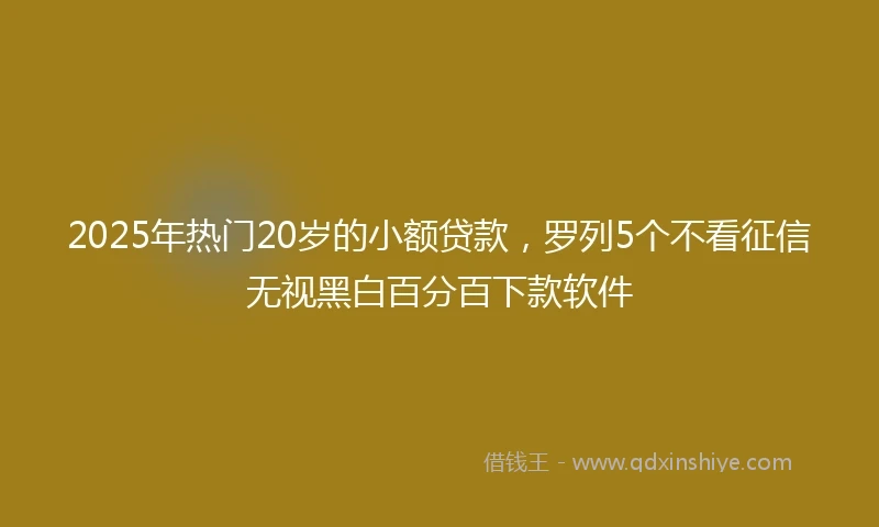 2025年热门20岁的小额贷款，罗列5个不看征信无视黑白百分百下款软件