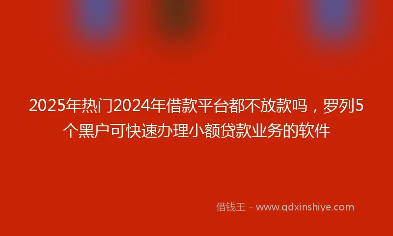 2025年热门2024年借款平台都不放款吗，罗列5个黑户可快速办理小额贷款业务的软件