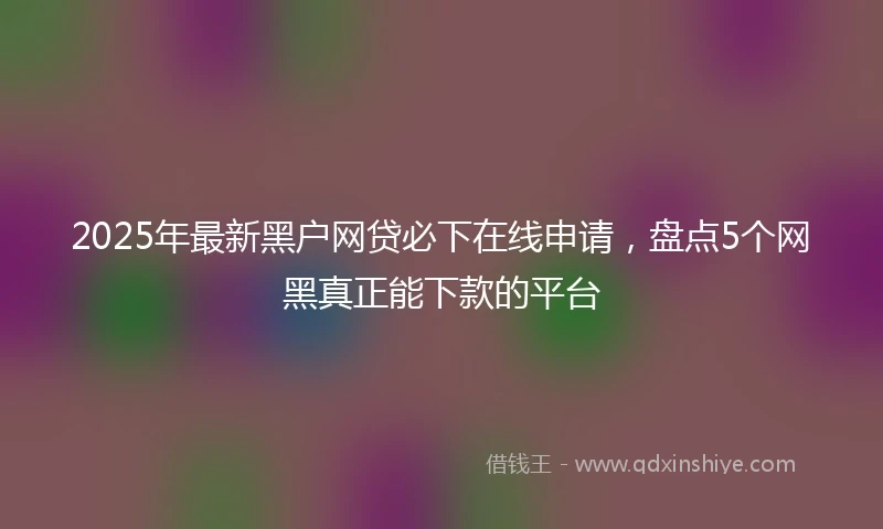 2025年最新黑户网贷必下在线申请，盘点5个网黑真正能下款的平台