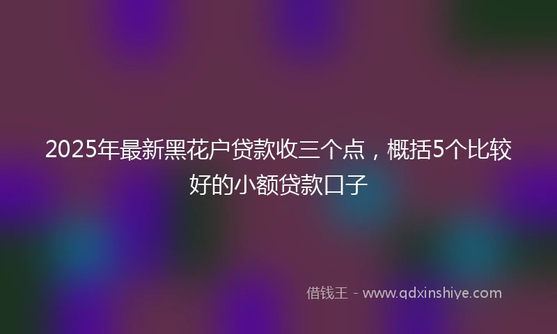 2025年最新黑花户贷款收三个点，概括5个比较好的小额贷款口子