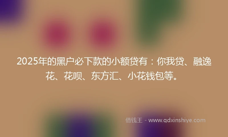 2025年的黑户必下款的小额贷有:你我贷、融逸花、花呗、东方汇、小花钱包等。