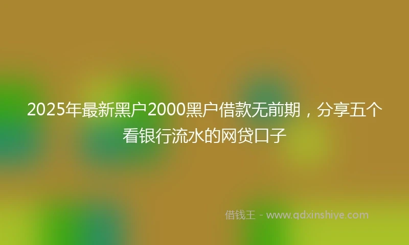 2025年最新黑户2000黑户借款无前期，分享五个看银行流水的网贷口子