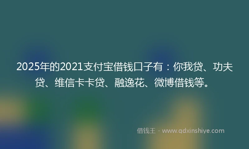 2025年的2021支付宝借钱口子有：你我贷、功夫贷、维信卡卡贷、融逸花、微博借钱等。