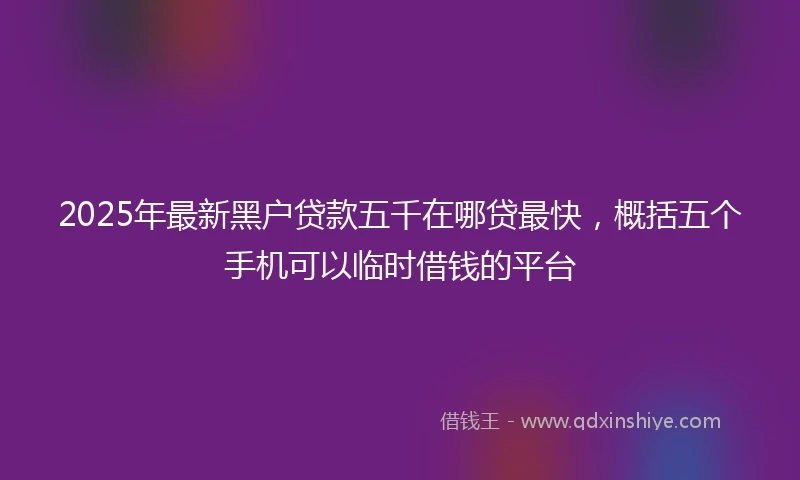 2025年最新黑户贷款五千在哪贷最快，概括五个手机可以临时借钱的平台