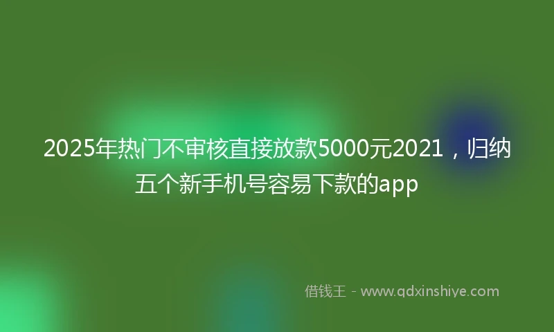 2025年热门不审核直接放款5000元2021，归纳五个新手机号容易下款的app