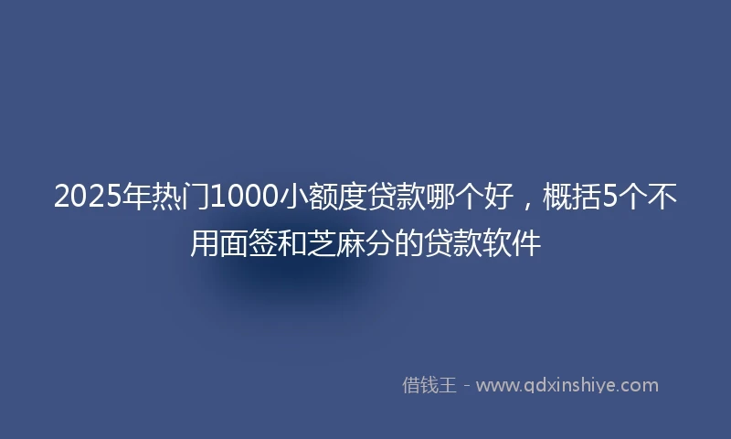 2025年热门1000小额度贷款哪个好，概括5个不用面签和芝麻分的贷款软件