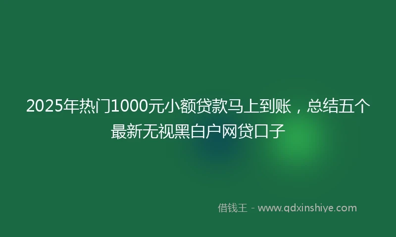 2025年热门1000元小额贷款马上到账，总结五个最新无视黑白户网贷口子