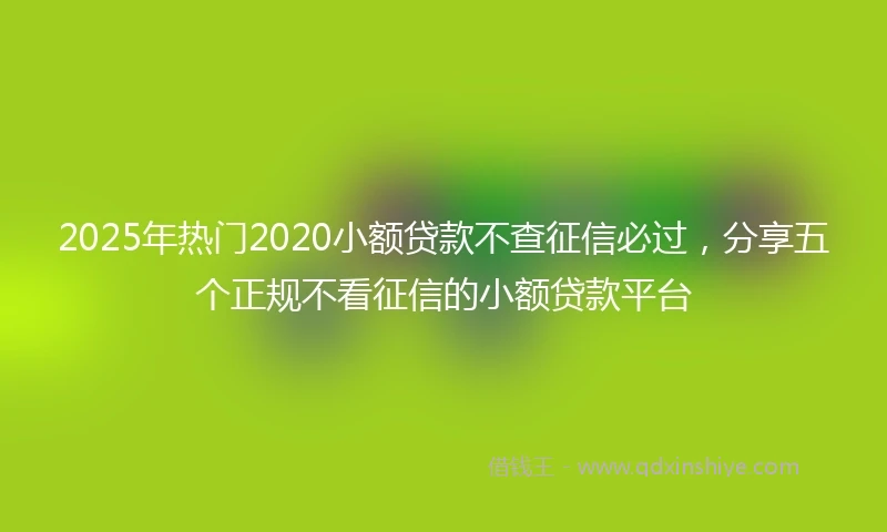 2025年热门2020小额贷款不查征信必过，分享五个正规不看征信的小额贷款平台
