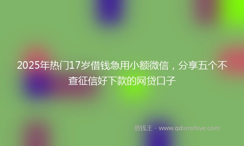 2025年热门17岁借钱急用小额微信，分享五个不查征信好下款的网贷口子