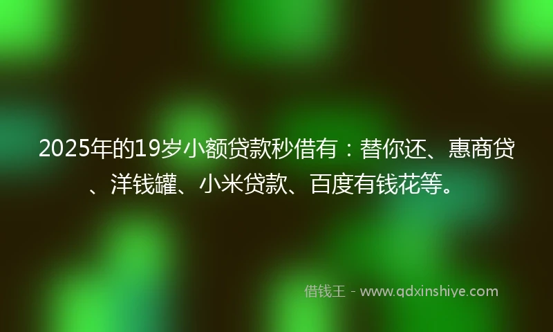 2025年的19岁小额贷款秒借有：替你还、惠商贷、洋钱罐、小米贷款、百度有钱花等。