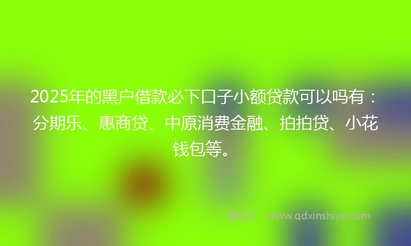 2025年的黑户借款必下口子小额贷款可以吗有：分期乐、惠商贷、中原消费金融、拍拍贷、小花钱包等。