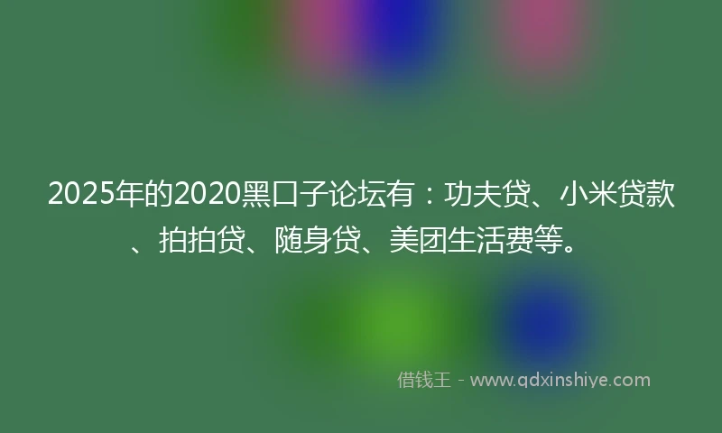 2025年的2020黑口子论坛有：功夫贷、小米贷款、拍拍贷、随身贷、美团生活费等。