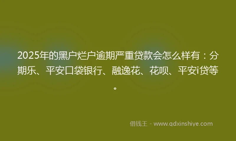 2025年的黑户烂户逾期严重贷款会怎么样有：分期乐、平安口袋银行、融逸花、花呗、平安i贷等。