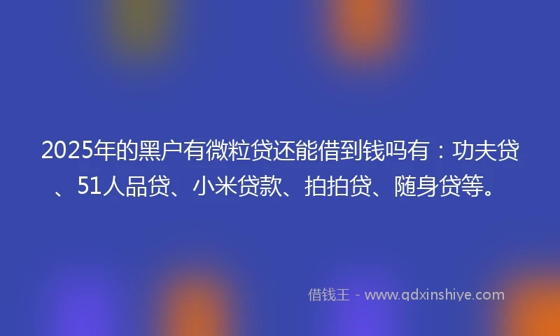 2025年的黑户有微粒贷还能借到钱吗有：功夫贷、51人品贷、小米贷款、拍拍贷、随身贷等。