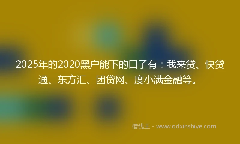 2025年的2020黑户能下的口子有：我来贷、快贷通、东方汇、团贷网、度小满金融等。