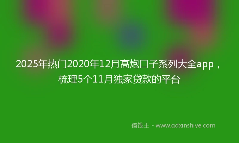 2025年热门2020年12月高炮口子系列大全app，梳理5个11月独家贷款的平台