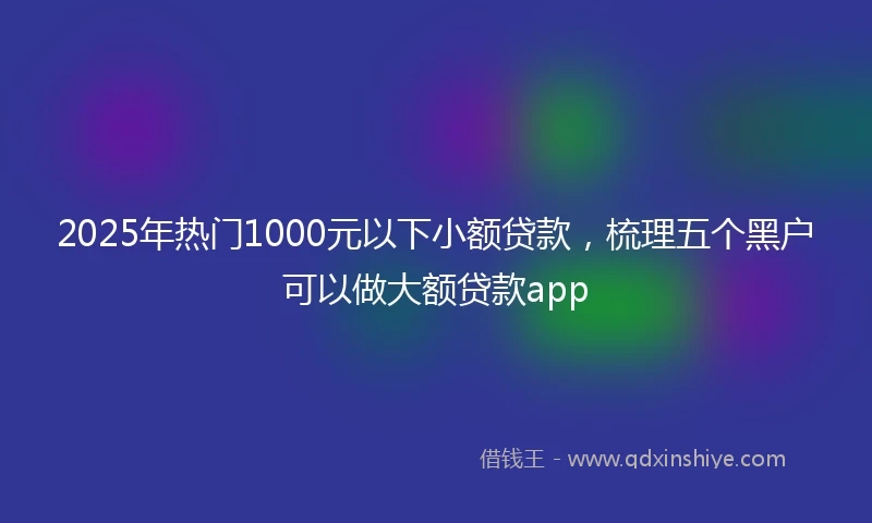2025年热门1000元以下小额贷款，梳理五个黑户可以做大额贷款app