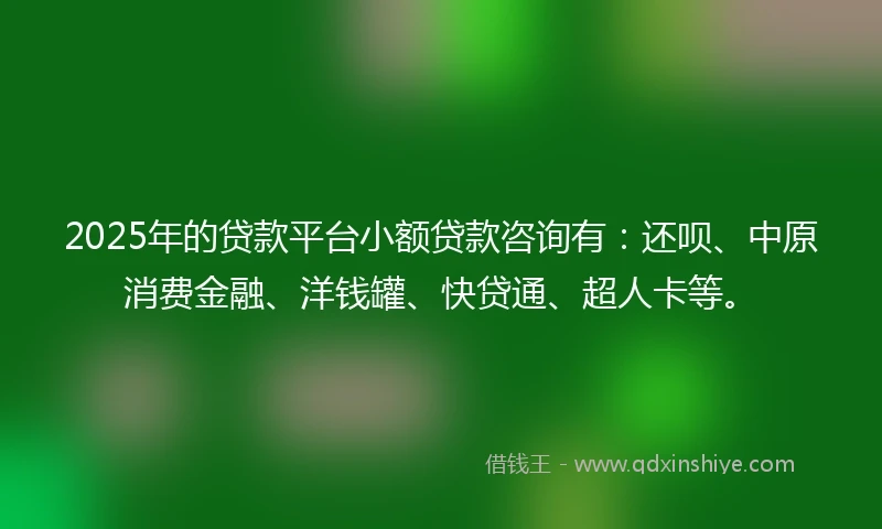 2025年的贷款平台小额贷款咨询有：还呗、中原消费金融、洋钱罐、快贷通、超人卡等。