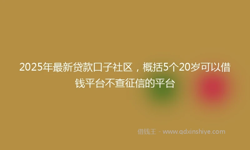 2025年最新贷款口子社区，概括5个20岁可以借钱平台不查征信的平台