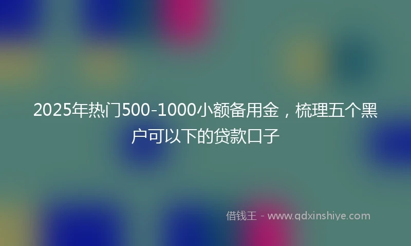 2025年热门500-1000小额备用金，梳理五个黑户可以下的贷款口子