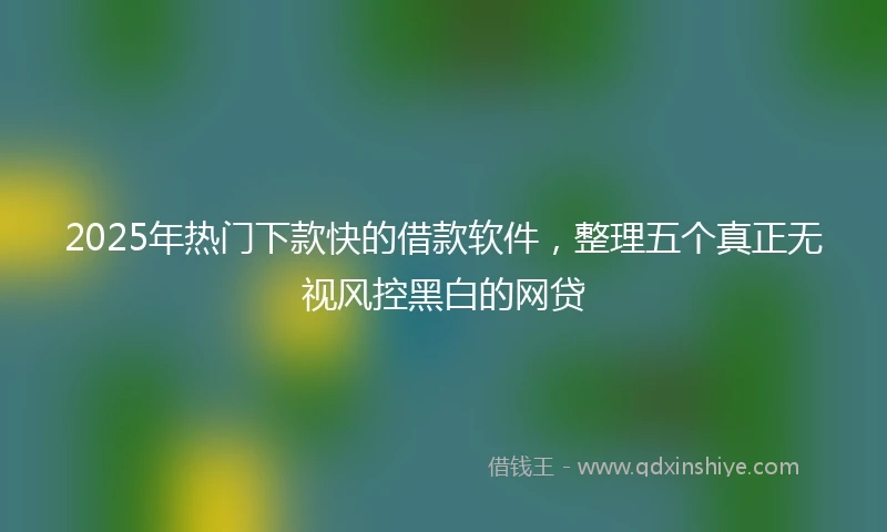 2025年热门下款快的借款软件，整理五个真正无视风控黑白的网贷