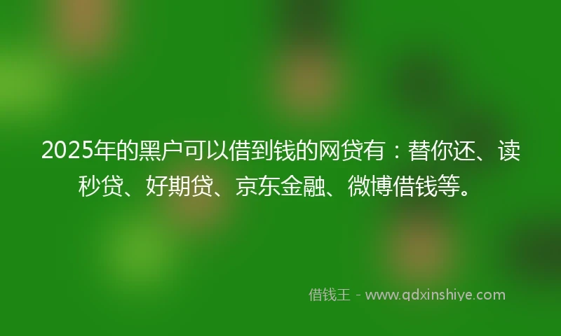 2025年的黑户可以借到钱的网贷有：替你还、读秒贷、好期贷、京东金融、微博借钱等。