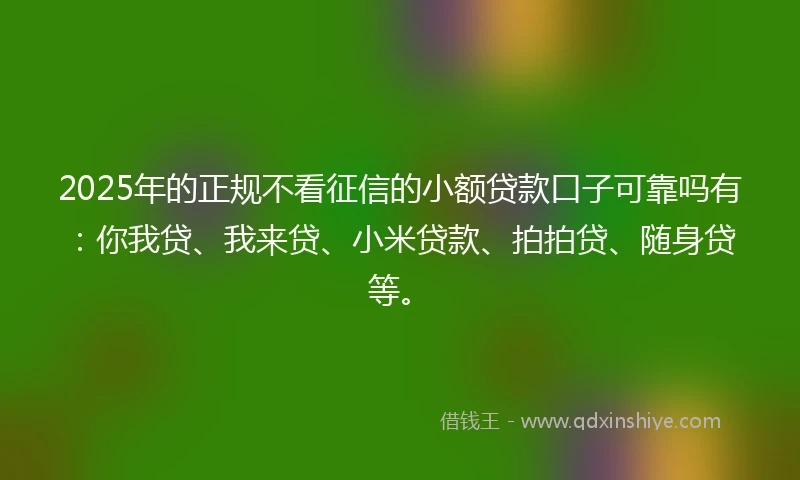 2025年的正规不看征信的小额贷款口子可靠吗有：你我贷、我来贷、小米贷款、拍拍贷、随身贷等。