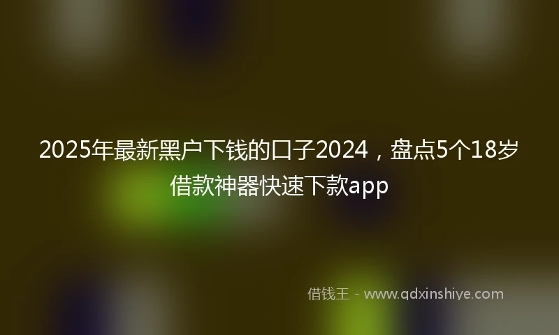 2025年最新黑户下钱的口子2024，盘点5个18岁借款神器快速下款app