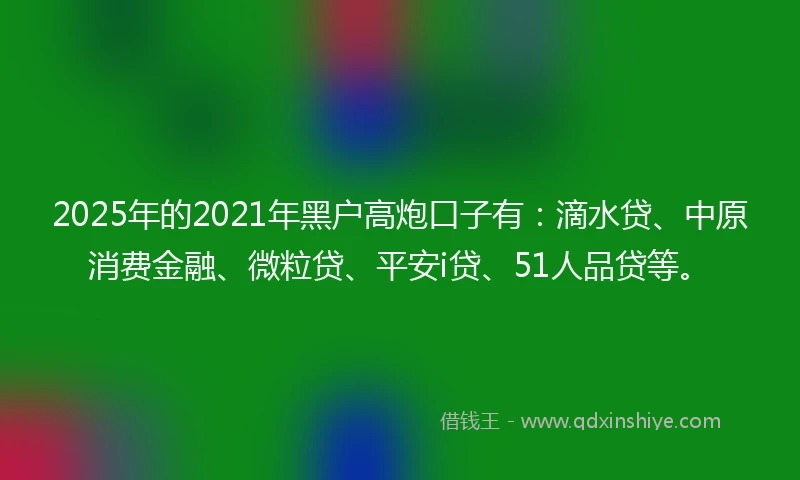 2025年的2021年黑户高炮口子有：滴水贷、中原消费金融、微粒贷、平安i贷、51人品贷等。