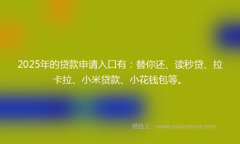 2025年的贷款申请入口有：替你还、读秒贷、拉卡拉、小米贷款、小花钱包等。