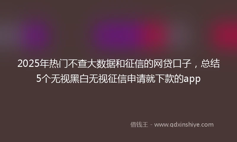 2025年热门不查大数据和征信的网贷口子，总结5个无视黑白无视征信申请就下款的app