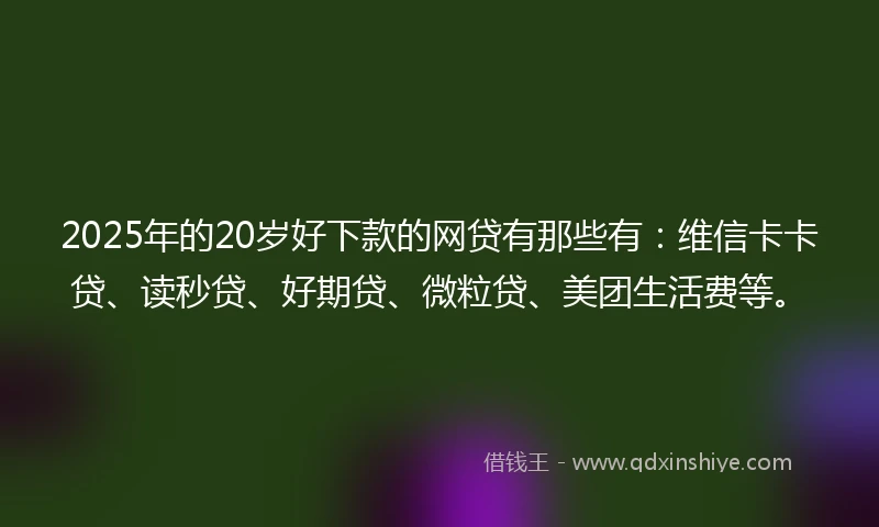 2025年的20岁好下款的网贷有那些有：维信卡卡贷、读秒贷、好期贷、微粒贷、美团生活费等。