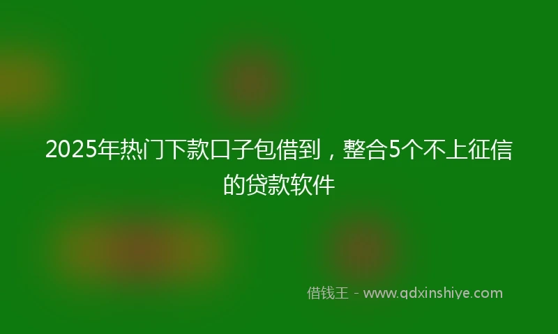 2025年热门下款口子包借到，整合5个不上征信的贷款软件