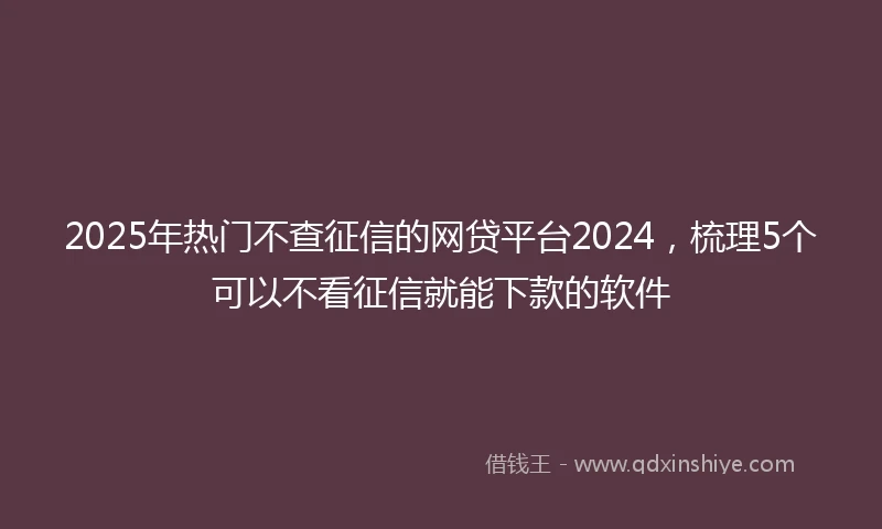 2025年热门不查征信的网贷平台2024，梳理5个可以不看征信就能下款的软件