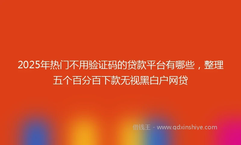 2025年热门不用验证码的贷款平台有哪些，整理五个百分百下款无视黑白户网贷