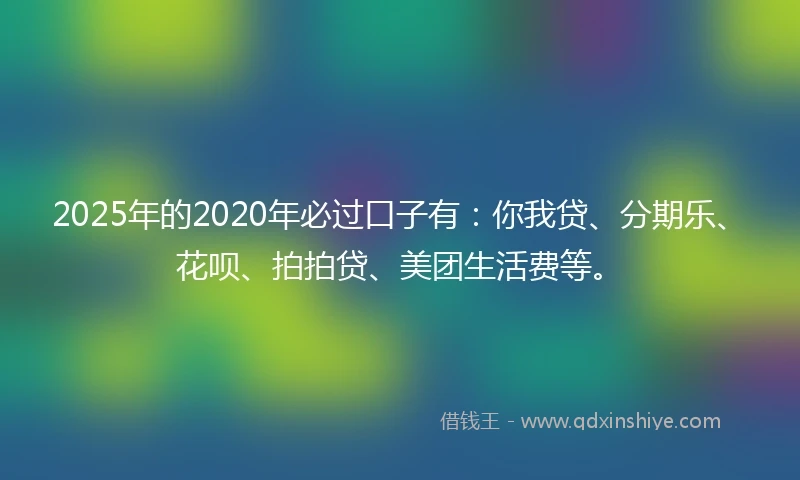 2025年的2020年必过口子有：你我贷、分期乐、花呗、拍拍贷、美团生活费等。