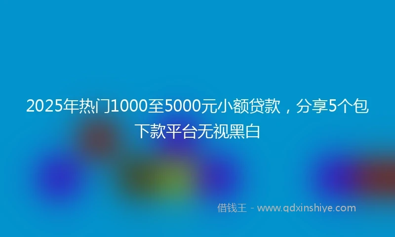 2025年热门1000至5000元小额贷款，分享5个包下款平台无视黑白