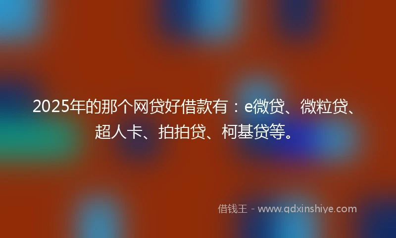 2025年的那个网贷好借款有：e微贷、微粒贷、超人卡、拍拍贷、柯基贷等。