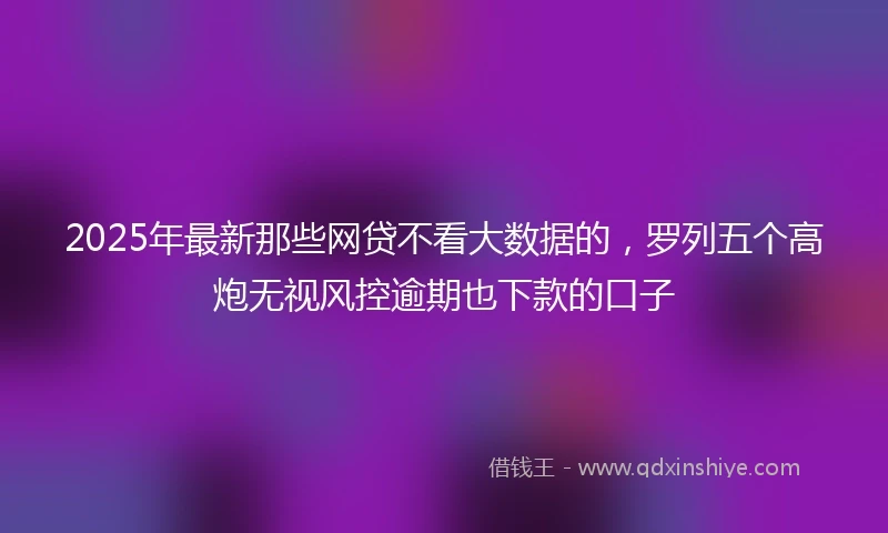 2025年最新那些网贷不看大数据的，罗列五个高炮无视风控逾期也下款的口子