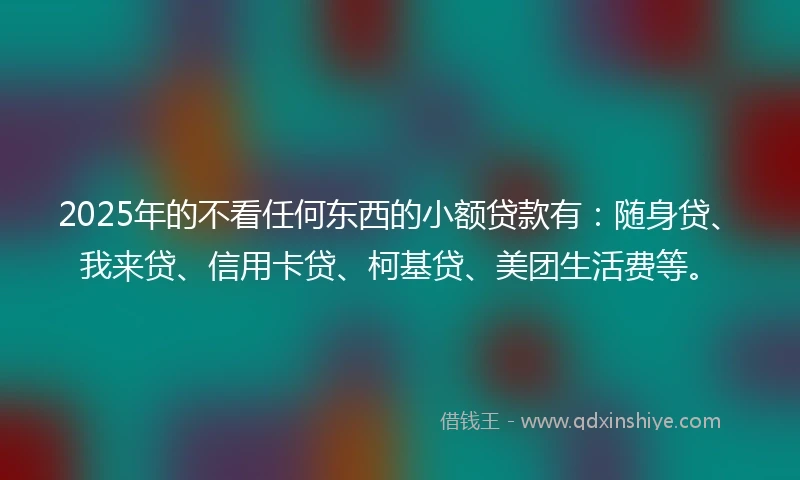 2025年的不看任何东西的小额贷款有：随身贷、我来贷、信用卡贷、柯基贷、美团生活费等。