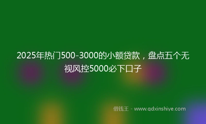 2025年热门500-3000的小额贷款，盘点五个无视风控5000必下口子