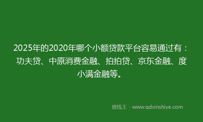 2025年的2020年哪个小额贷款平台容易通过有：功夫贷、中原消费金融、拍拍贷、京东金融、度小满金融等。