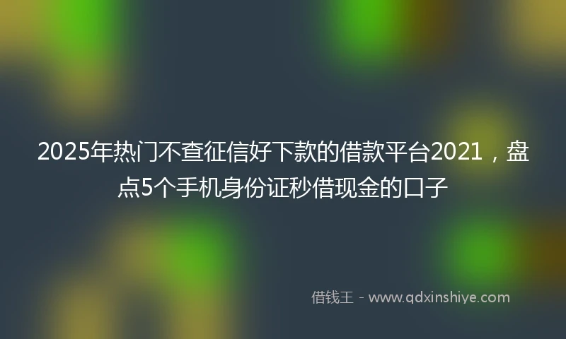 2025年热门不查征信好下款的借款平台2021，盘点5个手机身份证秒借现金的口子