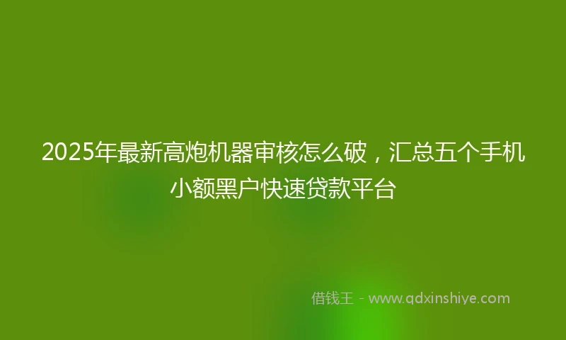2025年最新高炮机器审核怎么破，汇总五个手机小额黑户快速贷款平台